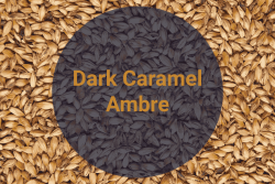 Солод Карамельный Янтарный Темный Dark Caramel Ambre, 120-140 EBC (Soufflet), 1 кг - фото