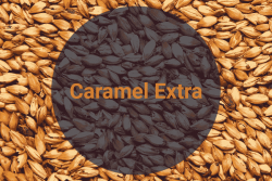 Солод Карамельный Экстра Caramel Extra, 230-270 EBC (Soufflet), 1 кг - фото