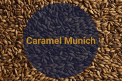 Cолод Мюнхенский 15 / Munich 15, 12-18 EBC (Soufflet) 1 кг - фото