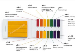 Индикаторная лакмусовая бумага pH 1-14 - фото